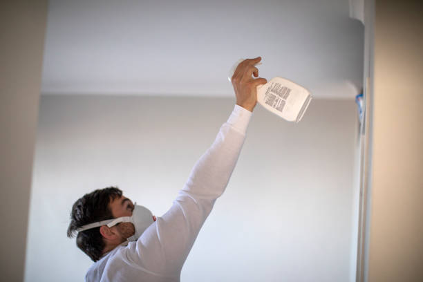 Best DIY Mold Remediation Support Services in Burgin, KY