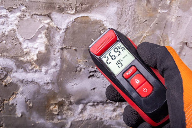 Best Crawl Space Mold Remediation in Burgin, KY