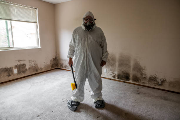 Best Post-Remediation Services in Burgin, KY
